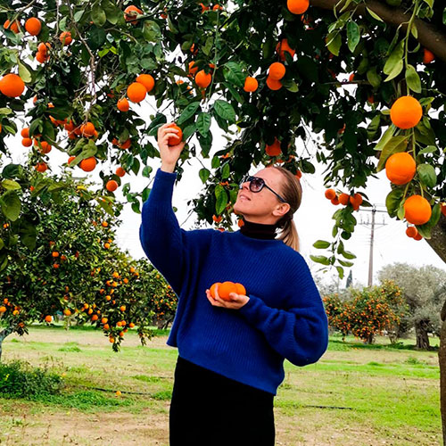 Buy oranges wholesale Buckeye