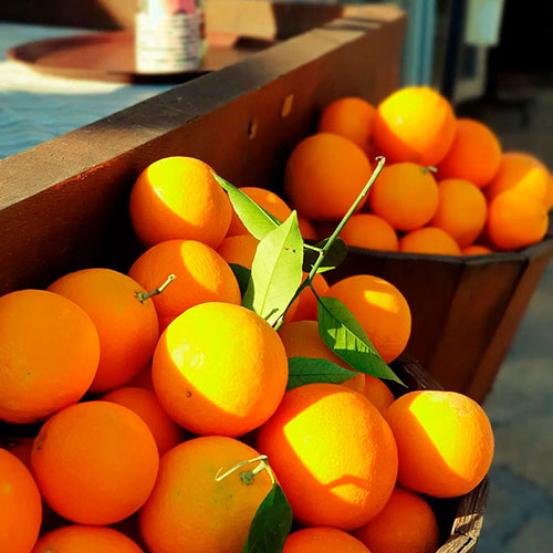 Buy oranges wholesale Gold-Coast