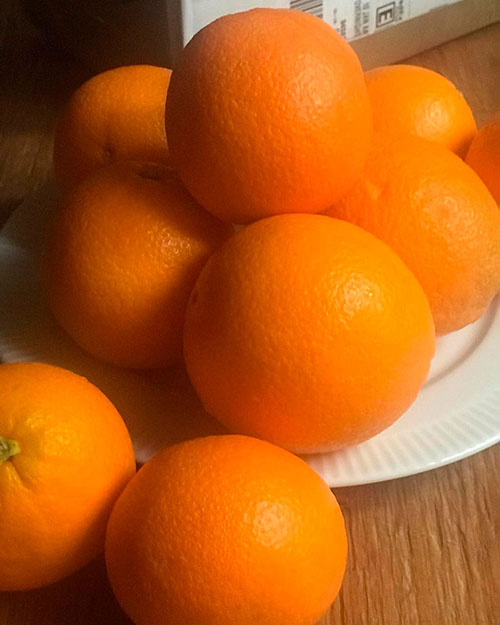 Buy oranges wholesale Caloundra