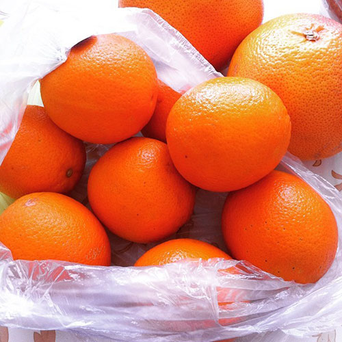 Buy oranges wholesale Cessnock