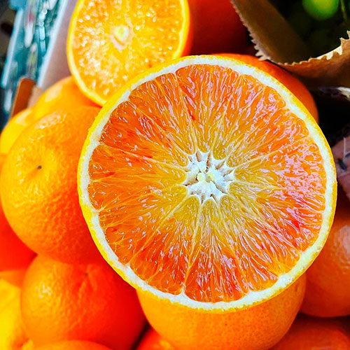 Buy oranges wholesale Buderim