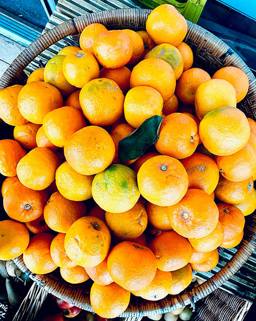 Buy oranges wholesale Nowra