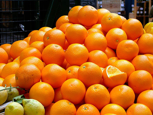 Buy oranges wholesale Maitland