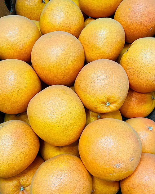 Buy oranges wholesale Beatrice