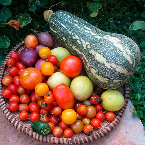 Tomatoes wholesale Chandler