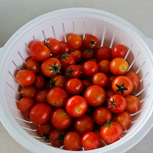 Tomatoes wholesale Caboolture