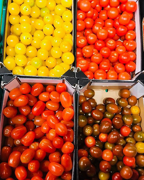 Tomatoes wholesale Lexington-N