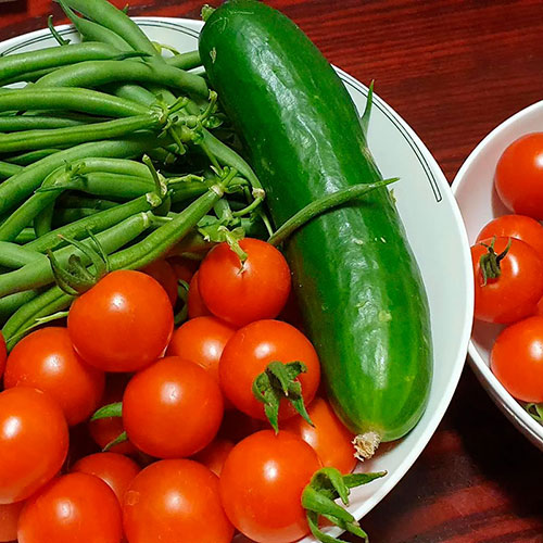 Tomatoes wholesale Medicine-Hat