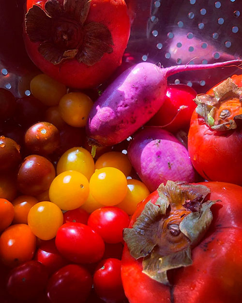 Tomatoes wholesale Raymond-Terrace