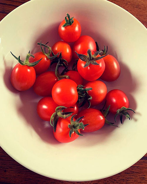 Tomatoes wholesale Goulburn