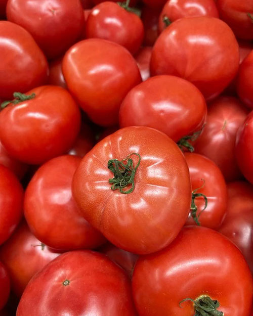 Tomatoes wholesale Columbus-N