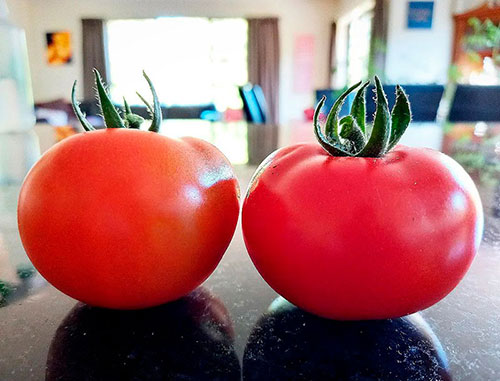 Tomatoes wholesale Armidale