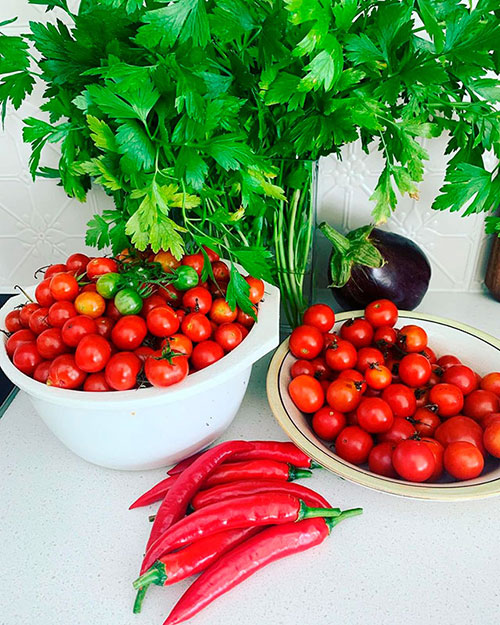 Tomatoes wholesale Norfolk