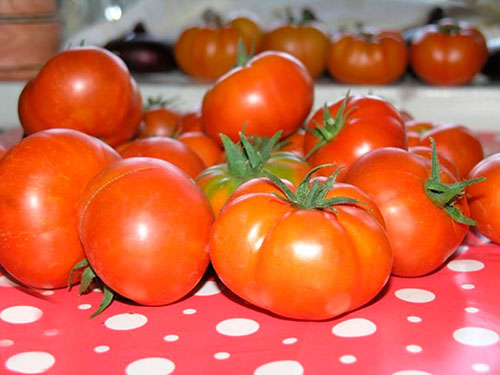 Tomatoes wholesale Chalco