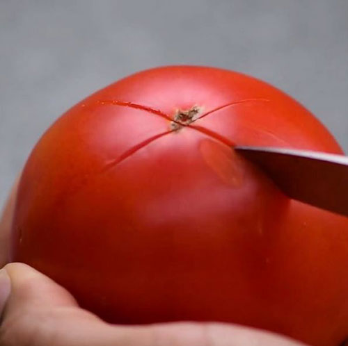 Tomatoes wholesale Norfolk