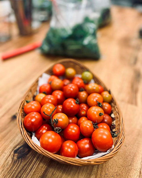 Tomatoes wholesale Grand-Island