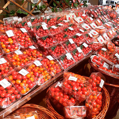 Tomatoes wholesale Gympie