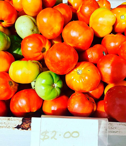 Tomatoes wholesale Casa-Grande