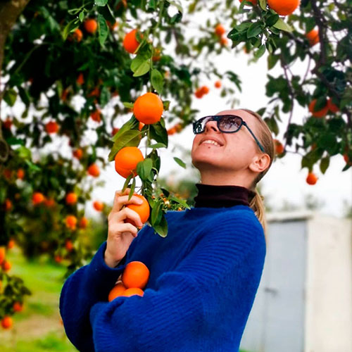 Buy oranges wholesale St-Albans