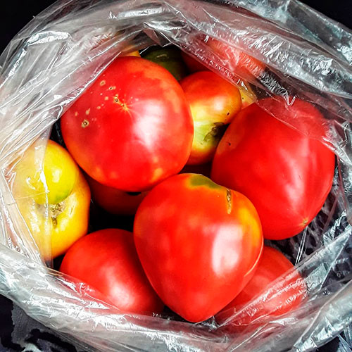Где купить помидоры Расин