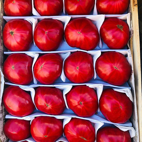Где купить помидоры Иерусалим
