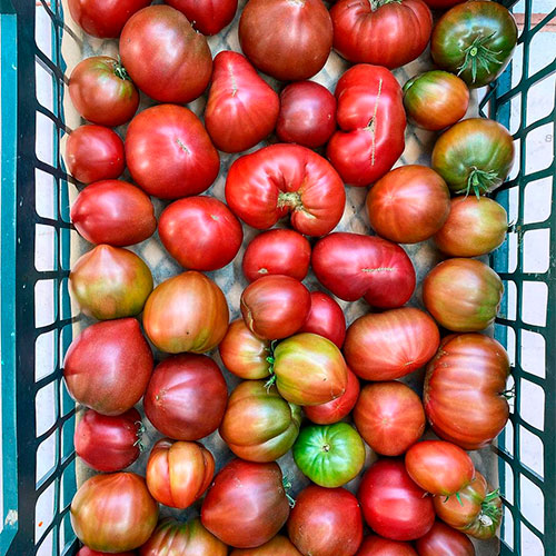 Где купить помидоры Эмпория