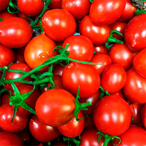 Где купить помидоры Тбилиси