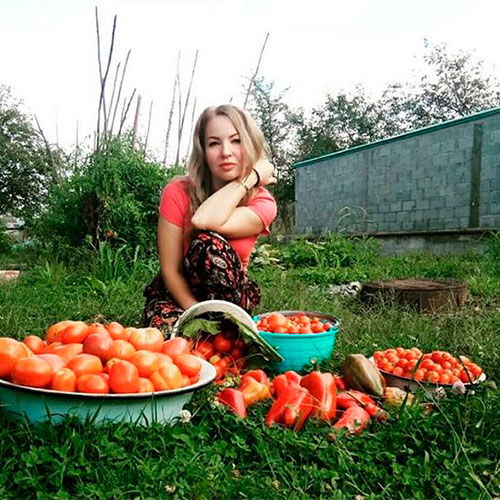 Где купить помидоры Выру