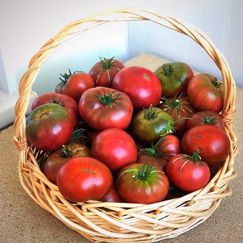 Где купить помидоры Туркестан