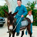 Демура на осле