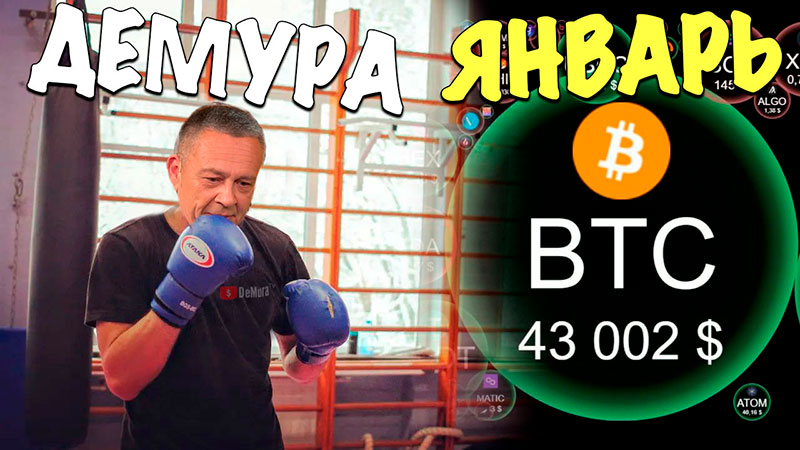 Демура боксёр